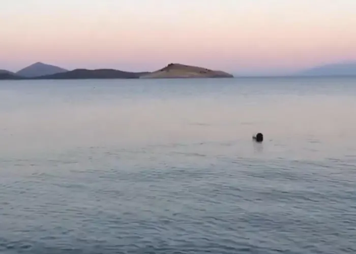 Atalay Ξενοδοχείο με διαμερίσματα