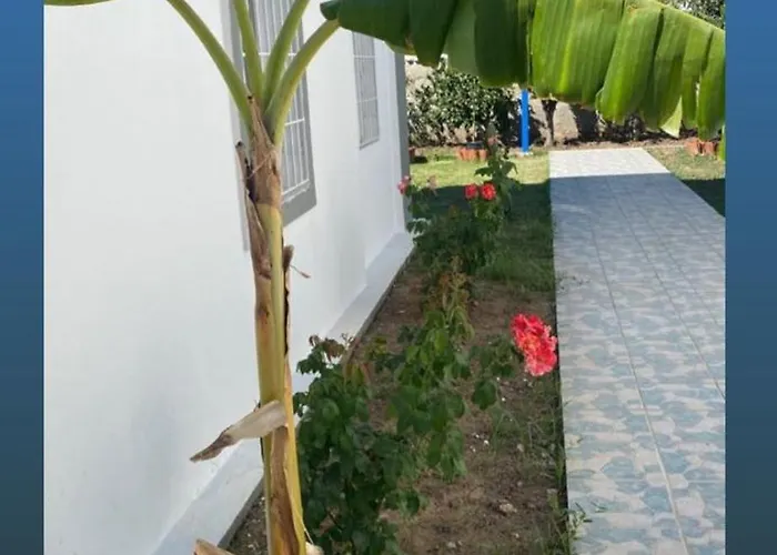 Atalay Αλικαρνασσός